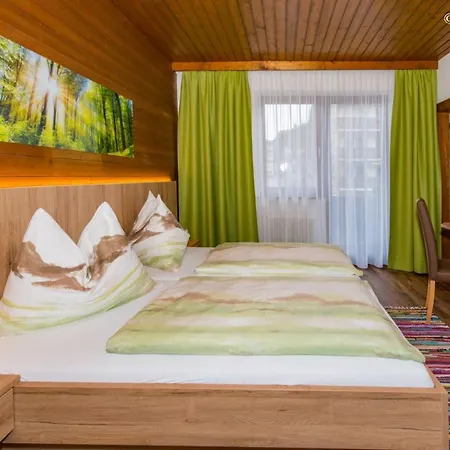 Pension Montana-2